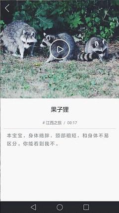 动蛙Live直播下载手机版_动蛙Live直播正版手机版