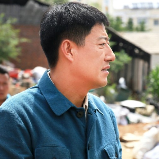 小草青青手机壁纸免费版