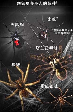 巨型蜘蛛恶作剧软件简版正版手机版_巨型蜘蛛恶作剧软件简版免费2025新版