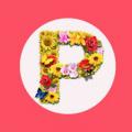 天天P图-pp拼图相册最新