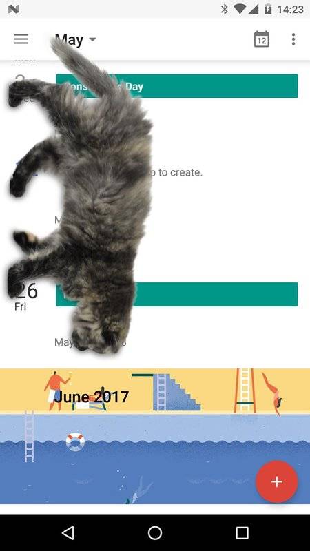 可爱猫动态屏幕Cat Walks in Phone Cute joke最新版本下载_可爱猫动态屏幕Cat Walks in Phone Cute joke下载免费2025新版
