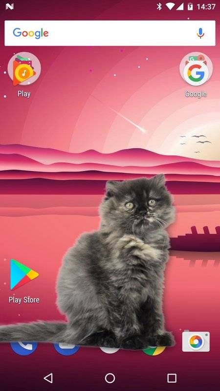 可爱猫动态屏幕Cat Walks in Phone Cute joke最新版本下载_可爱猫动态屏幕Cat Walks in Phone Cute joke下载免费2025新版
