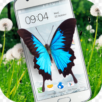 Butterfly in Phone lov