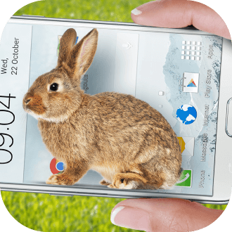 bunny in phone cute jo
