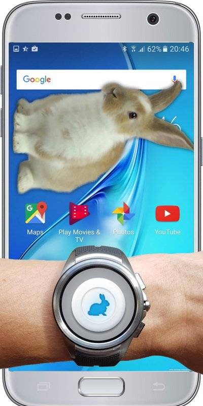 bunny in phone cute joke中文版APP安装下载_bunny in phone cute joke中文版正式版下载