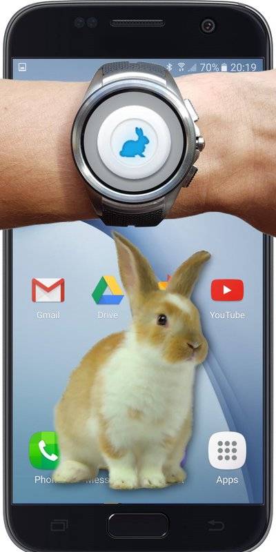 bunny in phone cute joke中文版APP安装下载_bunny in phone cute joke中文版正式版下载