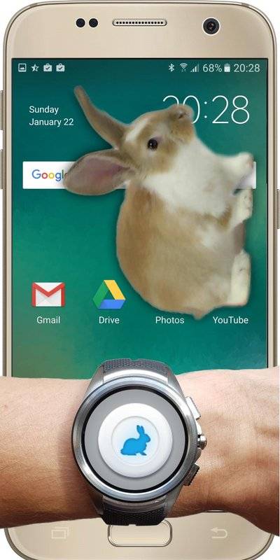 bunny in phone cute joke中文版APP安装下载_bunny in phone cute joke中文版正式版下载