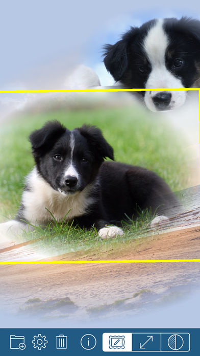 PhotoTangler Collage Maker 安卓App下载_PhotoTangler Collage Maker 2025最新版