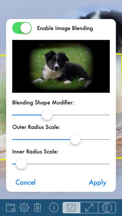 PhotoTangler Collage Maker 安卓App下载_PhotoTangler Collage Maker 2025最新版