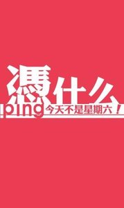 星期物语下载手机版_星期物语免费2025新版