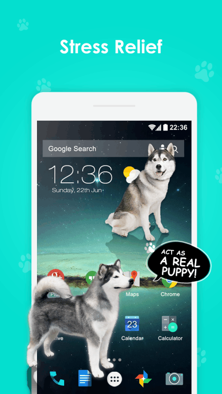 iDog - 狗在屏幕上(iphonex表情狗说话)全新2025版_iDog - 狗在屏幕上(iphonex表情狗说话)中文版下载