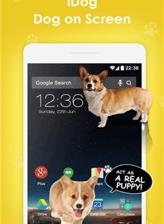 iDog - 狗在屏幕上APP安装下载_iDog - 狗在屏幕上2025新版