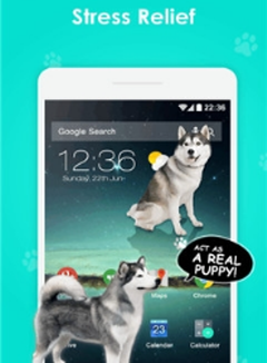 iDog - 狗在屏幕上APP安装下载_iDog - 狗在屏幕上2025新版