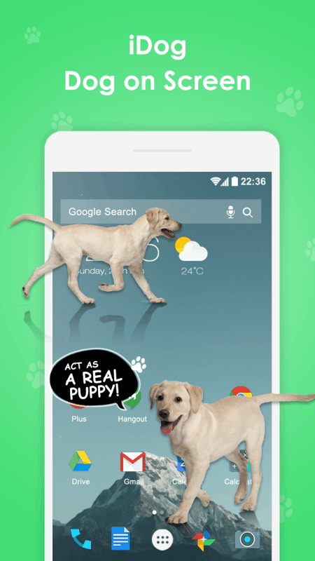 Cat Walks in Phone Cute joke猫在屏幕上2025新版_Cat Walks in Phone Cute joke猫在屏幕上手机端