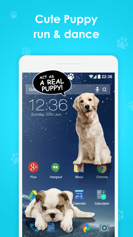 Cat Walks in Phone Cute joke猫在屏幕上2025新版_Cat Walks in Phone Cute joke猫在屏幕上手机端
