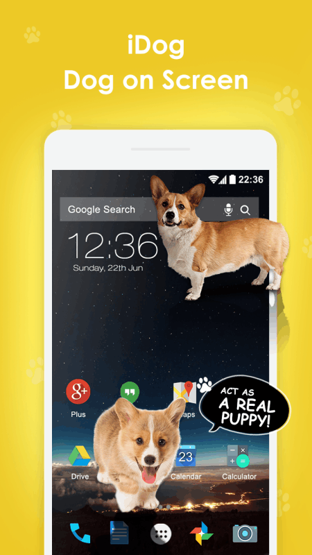 Cat Walks in Phone Cute joke猫在屏幕上2025新版_Cat Walks in Phone Cute joke猫在屏幕上手机端