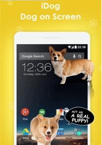 iDog - 狗在屏幕上爬下载安装_iDog - 狗在屏幕上爬官方手机端下载