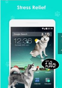 iDog - 狗在屏幕上爬下载安装_iDog - 狗在屏幕上爬官方手机端下载