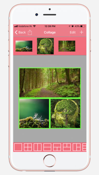 Selfissimo!相机最新2025最新版下载_Selfissimo!相机最新APP下载
