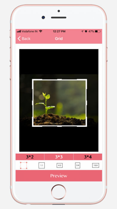 Selfissimo!相机最新2025最新版下载_Selfissimo!相机最新APP下载