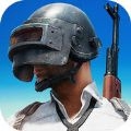 Last Survive - Chicken Dinner(精英行动吃鸡手游)app最新官方版下载_Last Survive - Chicken Dinner(精英行动吃鸡手游)官方版下载