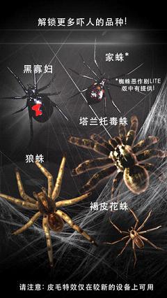 蜘蛛恶作剧简版2017最新地址下载官方版_蜘蛛恶作剧简版2017最新地址安卓版下载安装