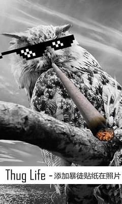 Thug life photo sticker maker大金链子墨镜雪茄官方正版免费_Thug life photo sticker maker大金链子墨镜雪茄下载免费2025新版
