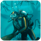 Underwater Survival(美丽水世界中文版2017)app最新官方版_Underwater Survival(美丽水世界中文版2017)全新2025版