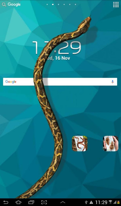 Snake On Screen Prank蛇在屏幕上爬最新版下载_Snake On Screen Prank蛇在屏幕上爬2025最新下载