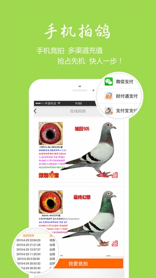 中国信鸽信息网纯净版下载_中国信鸽信息网2025新版
