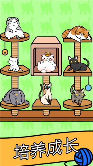 Cat Condo游戏免费版游戏下载安装_Cat Condo游戏新版手游