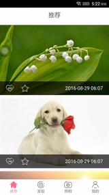 随行壁纸正版手机版_随行壁纸APP下载