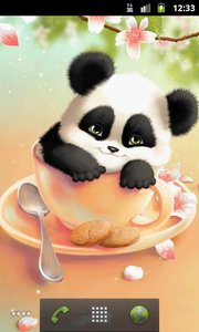 瞌睡熊猫壁纸Sleepy Panda Live Wallpaper安卓2025最新版本_瞌睡熊猫壁纸Sleepy Panda Live Wallpaper手机版