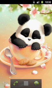 瞌睡熊猫壁纸Sleepy Panda Live Wallpaper安卓2025最新版本_瞌睡熊猫壁纸Sleepy Panda Live Wallpaper手机版