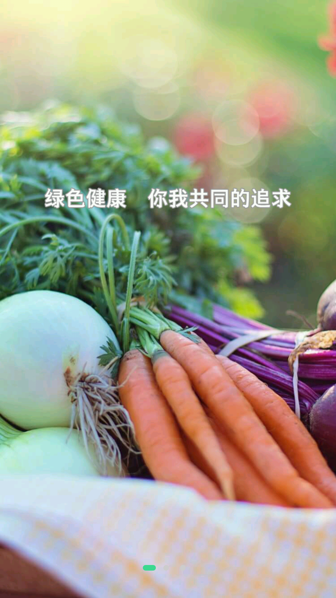 菜哆哆下载官方版_菜哆哆app最新官方版