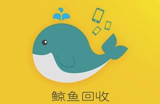 鲸鱼回收