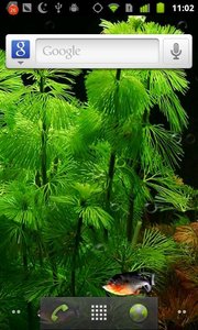 3D水虎鱼动态壁纸-Piranha 3d aquarium LWP正版手机版_3D水虎鱼动态壁纸-Piranha 3d aquarium LWP安卓App