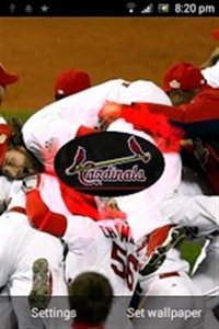 St Louis Cardinals圣路易红雀壁纸app最新官方版下载_St Louis Cardinals圣路易红雀壁纸APP下载