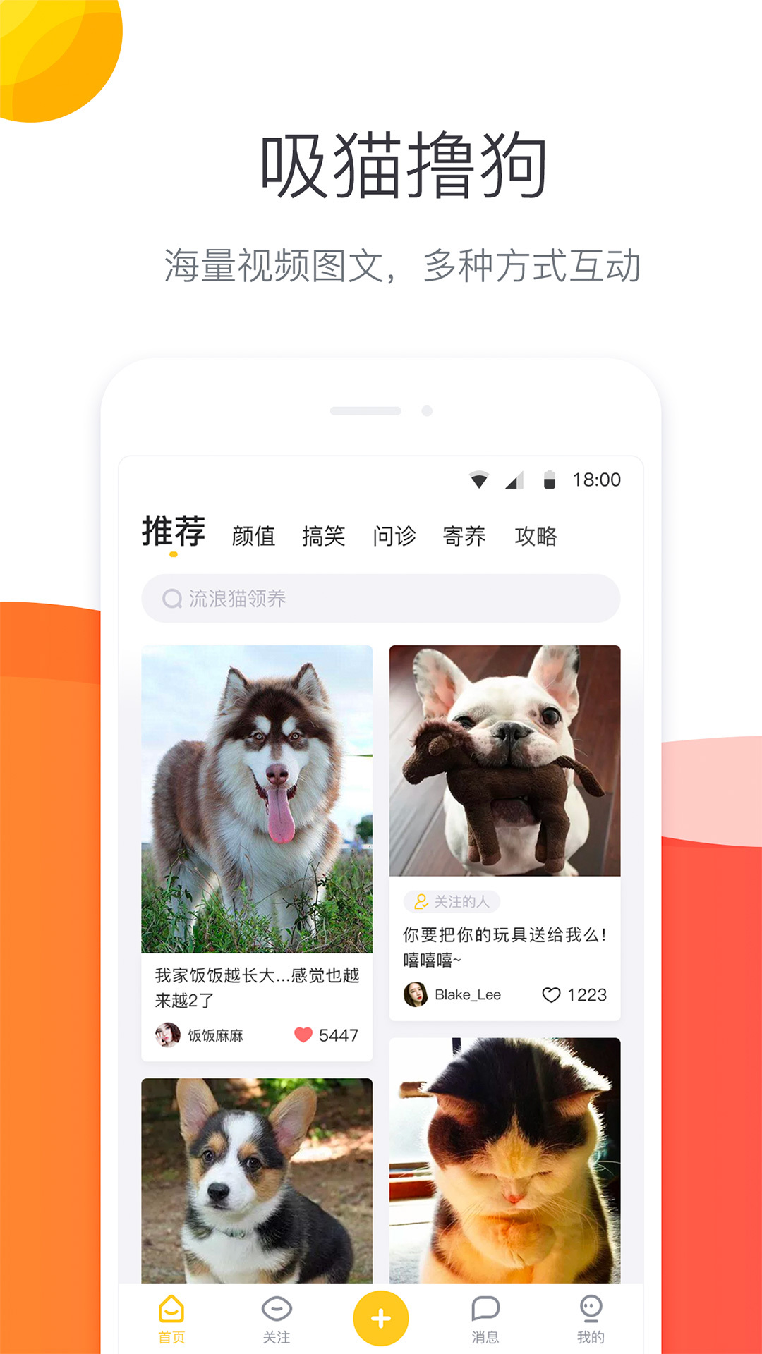 宠优优新版手机端_宠优优2025最新版下载