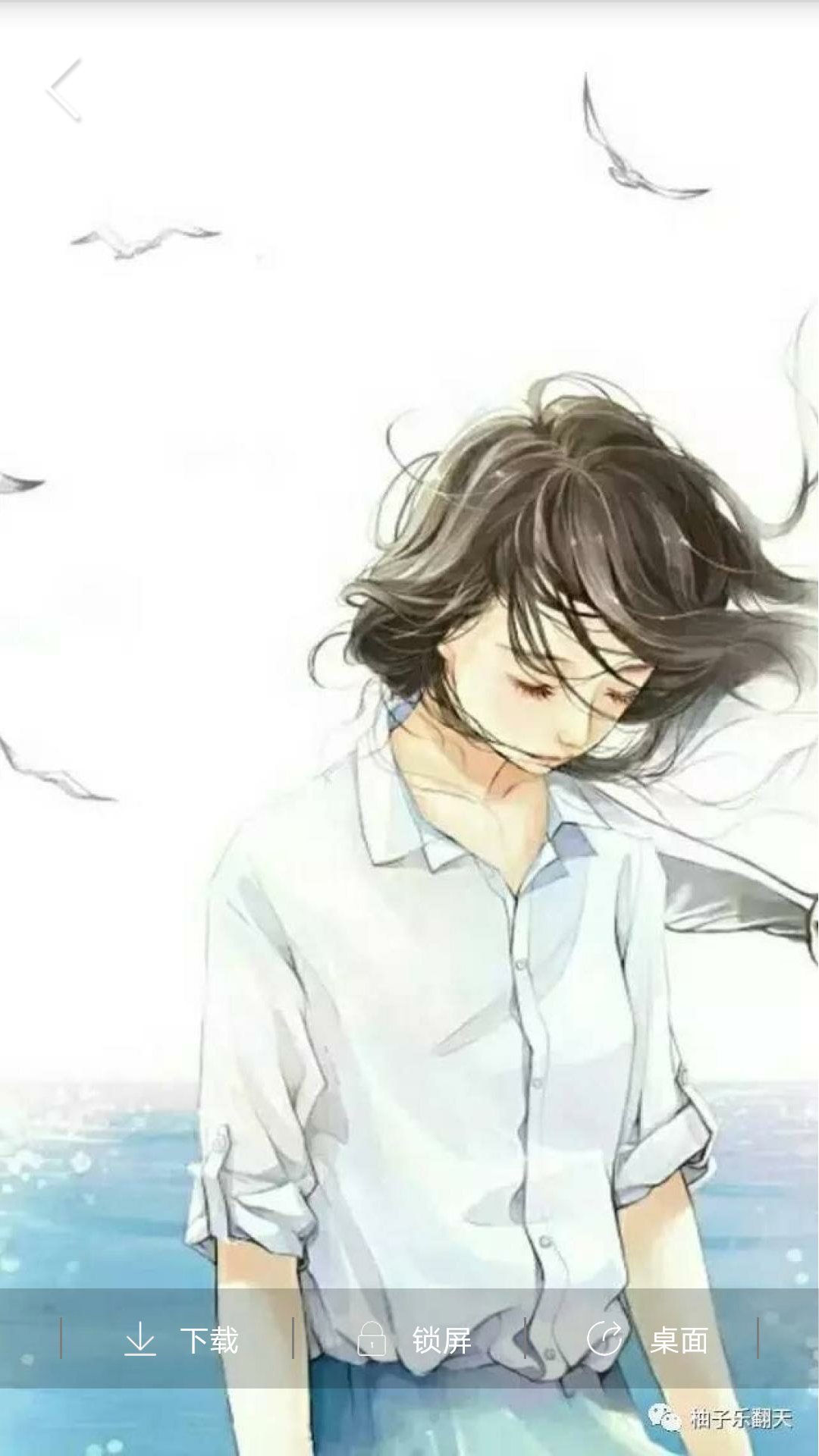 番茄主题壁纸免费2025新版_番茄主题壁纸下载最新版本2025