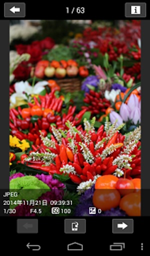 Canon Camera Connect App官方正版_Canon Camera Connect App2025最新版免费下载