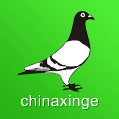 中国信鸽信息网官方免费