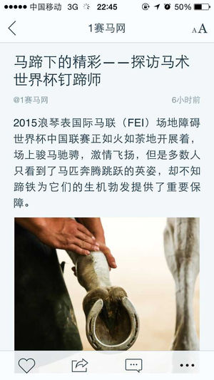 1赛马网手机客户端_1赛马网手机端