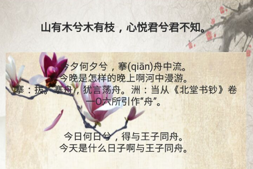 白小姐阅读