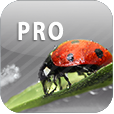 ColorUp Pro(ColorUp Li