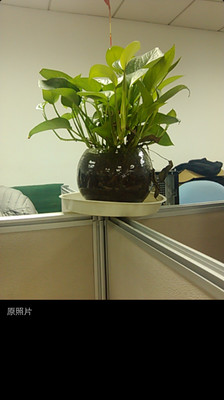 Little Photo最新版2025下载_Little Photo全新2025版