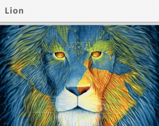 Lion软件