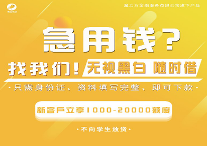 酷鸟易贷app