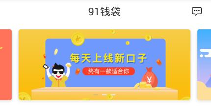 91钱袋