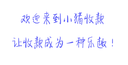 小猪收款